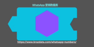 WhatsApp 营销数据库