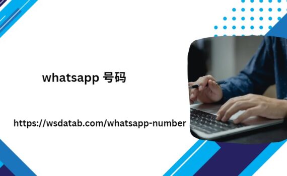 whatsApp 号码