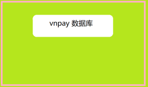 vnpay 数据库